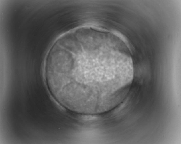 X0000088081103200706081724