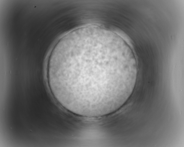 X0000088081104200706081724