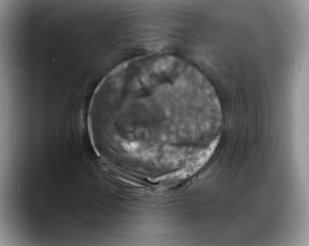 X0000088081106200706081724