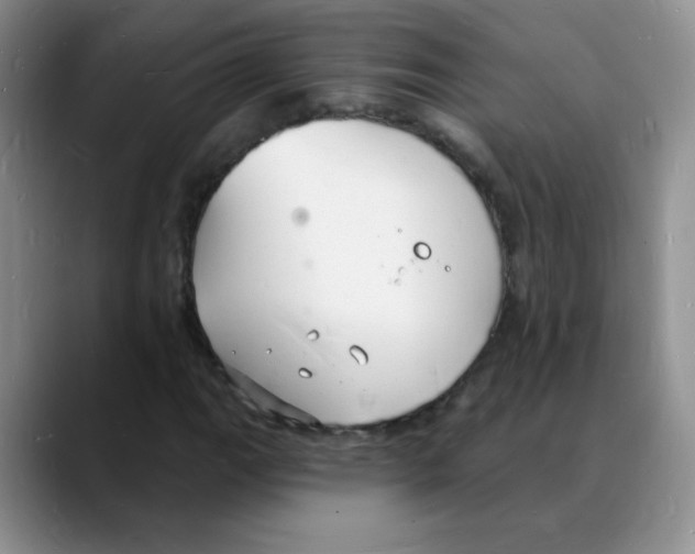 X0000088081111200706081724