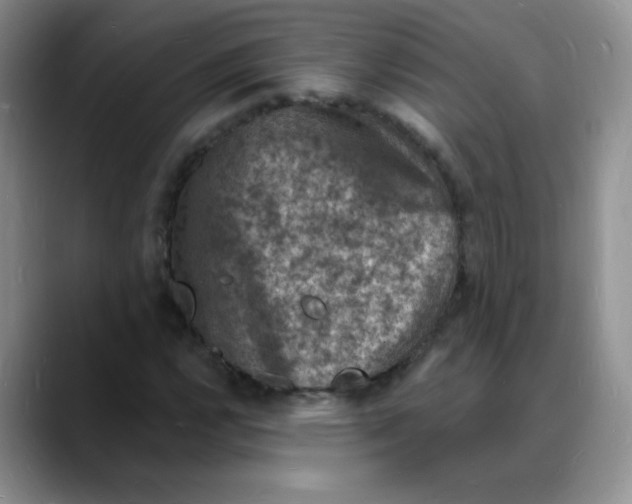 X0000088081112200706081724