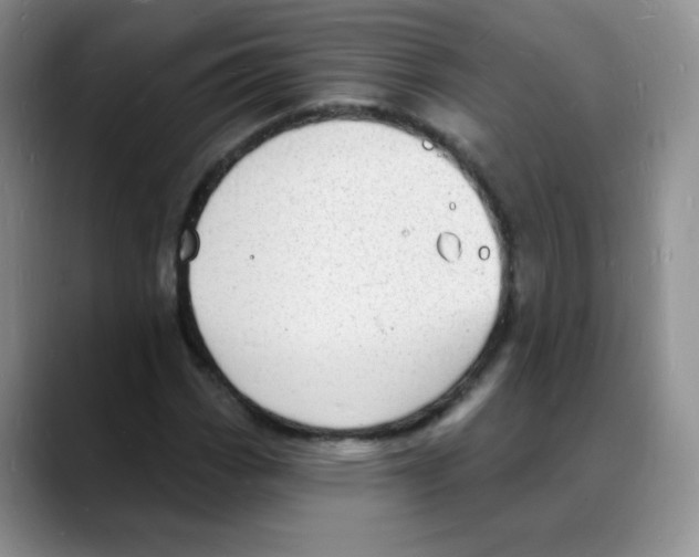 X0000088081113200706081724