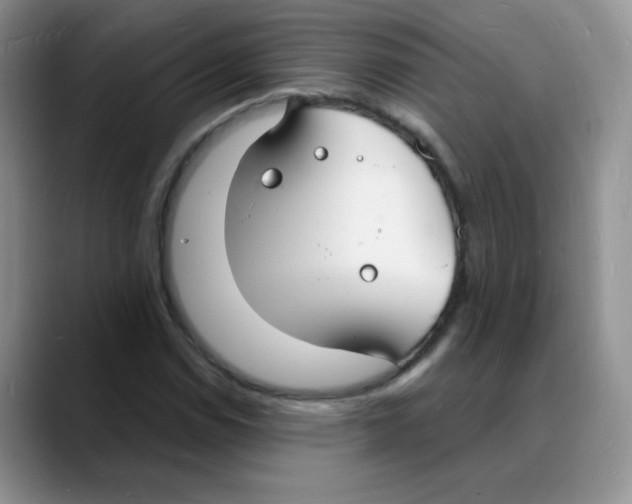 X0000088081114200706081724