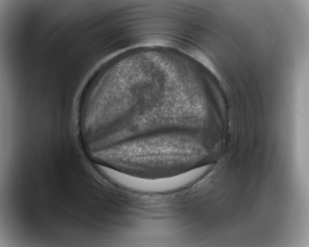 X0000088081116200706081724