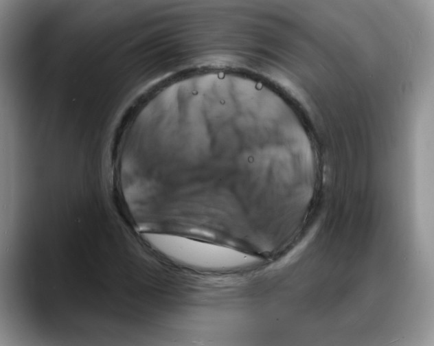 X0000088081117200706081724