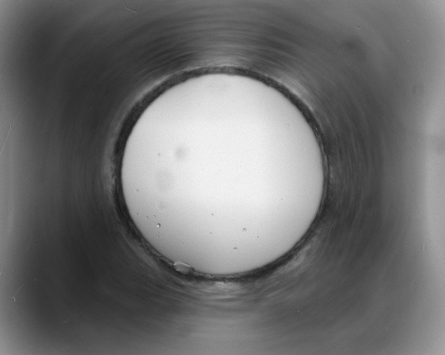 X0000088081119200706081724