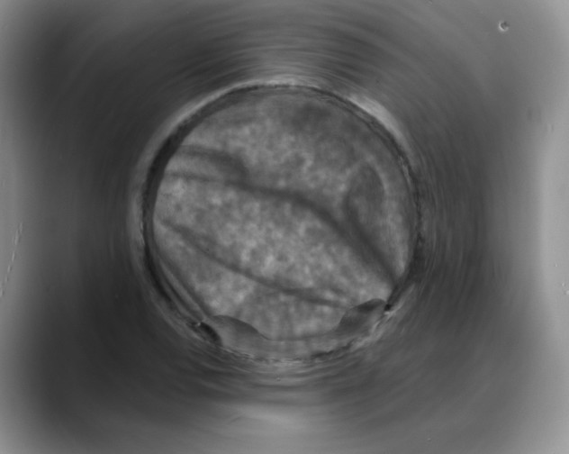 X0000088081120200706081724