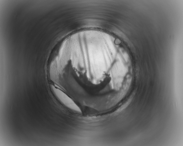 X0000088081121200706081724