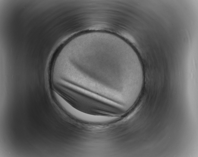 X0000088081122200706081724