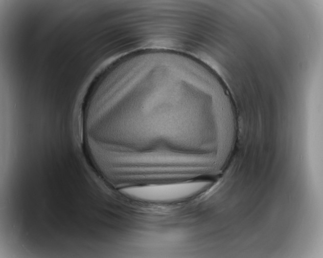 X0000088081123200706081724