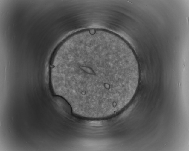 X0000088081126200706081724