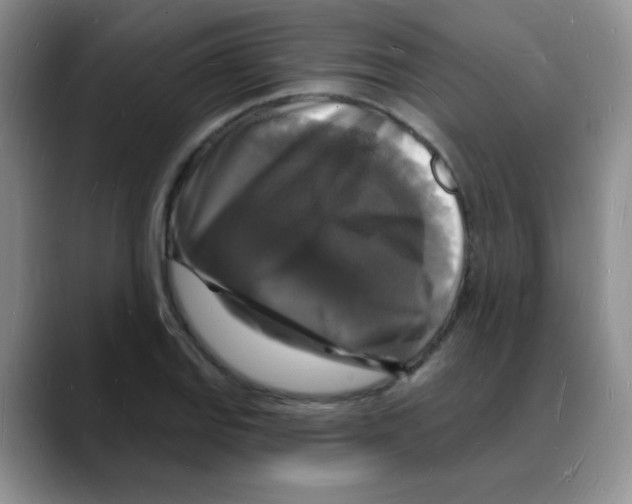 X0000088081127200706081724