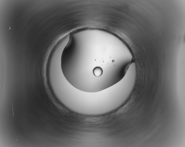 X0000088081128200706081724