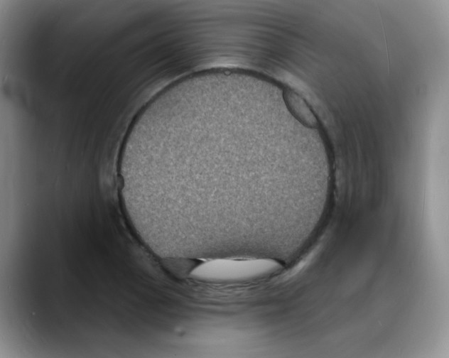 X0000088081129200706081724