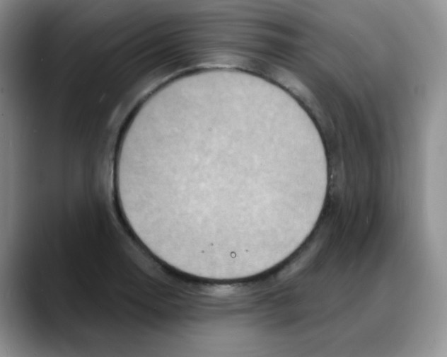 X0000088081130200706081724