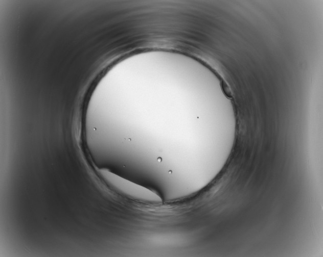 X0000088081131200706081724