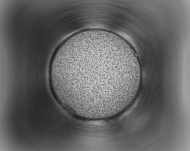 X0000088081133200706081724