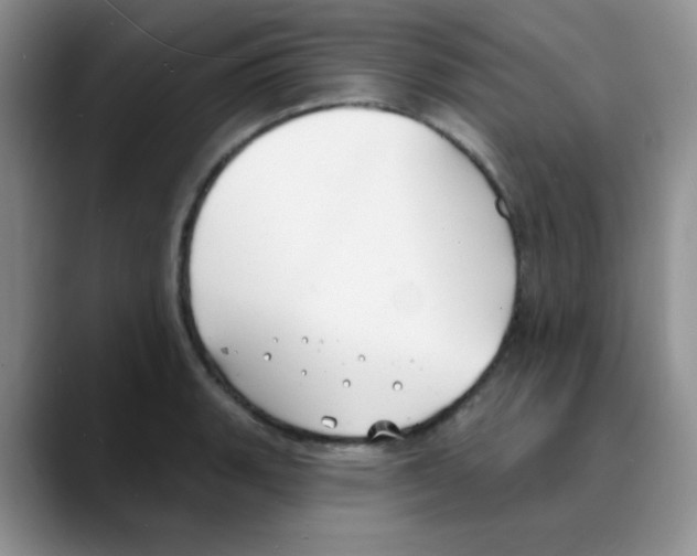 X0000088081135200706081724