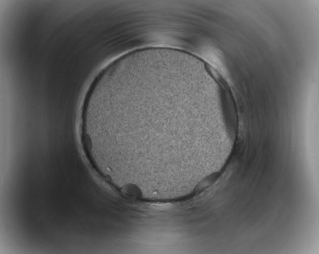 X0000088081136200706081724