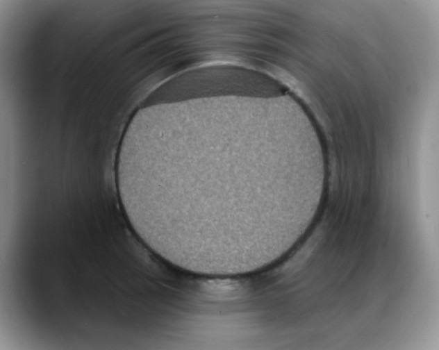 X0000088081137200706081724