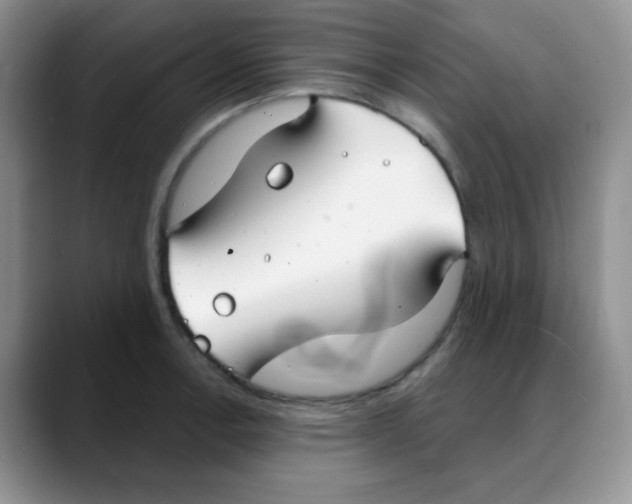 X0000088081138200706081724
