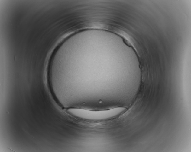 X0000088081139200706081724