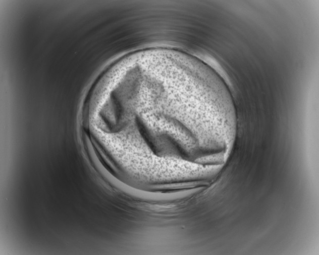 X0000088081140200706081724