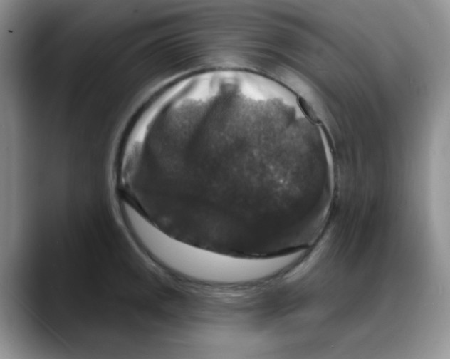 X0000088081141200706081724