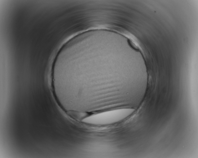 X0000088081143200706081724