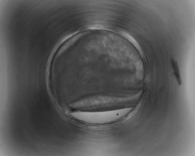 X0000088081146200706081724