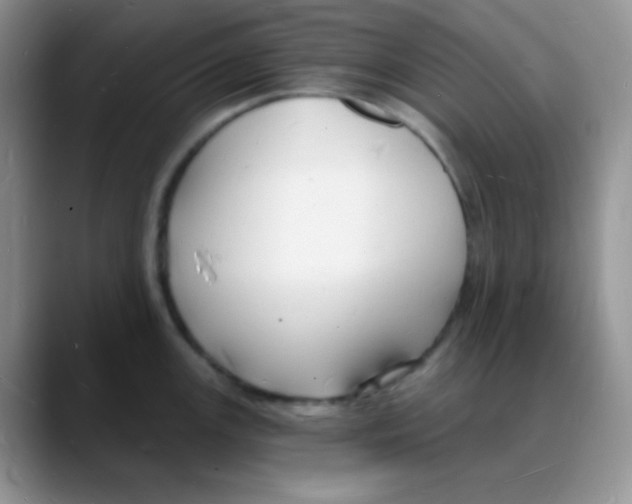 X0000088081147200706081724