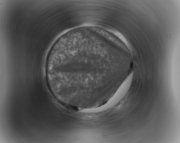 X0000088081148200706081724