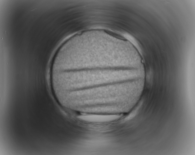 X0000088081149200706081724