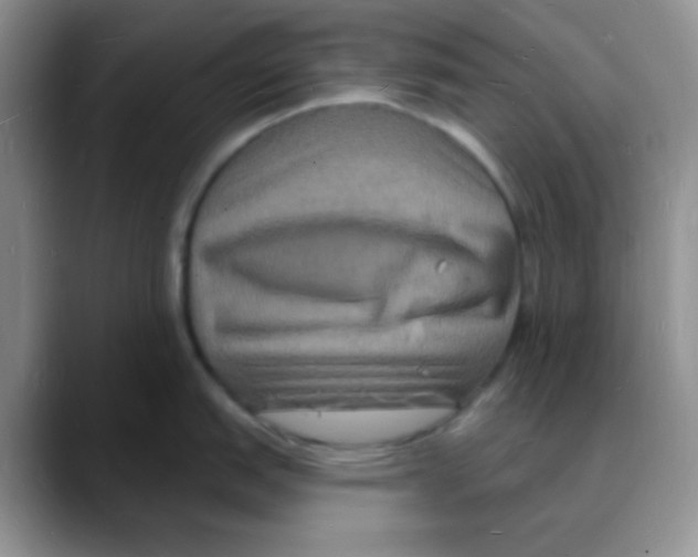 X0000088081151200706081724