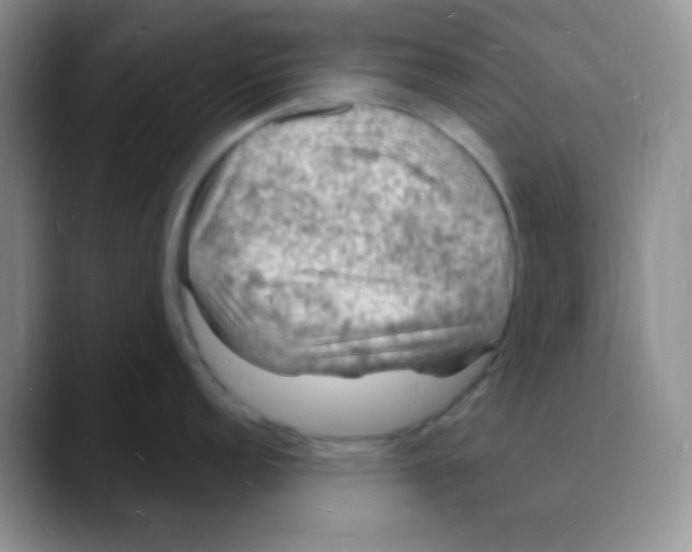 X0000088081152200706081724