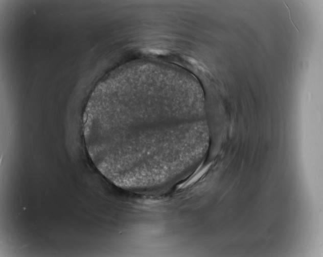 X0000088081153200706081724