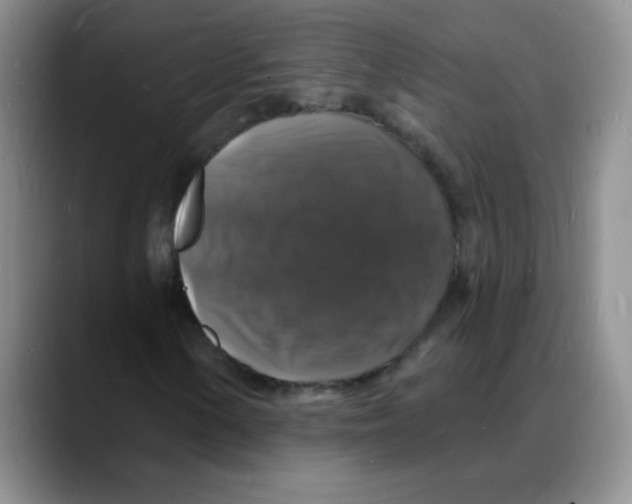 X0000088081154200706081724
