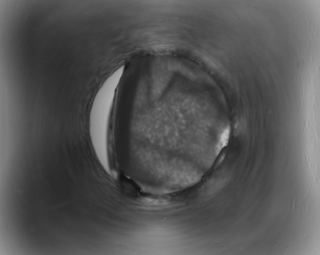 X0000088081156200706081724