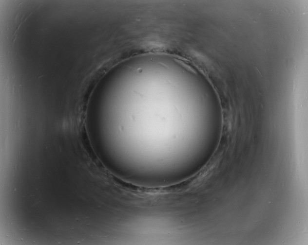 X0000088081157200706081724