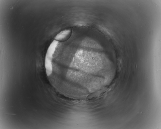 X0000088081158200706081724