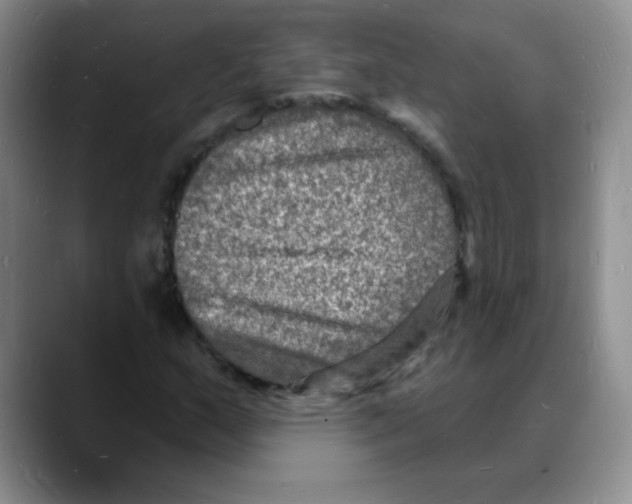 X0000088081159200706081724