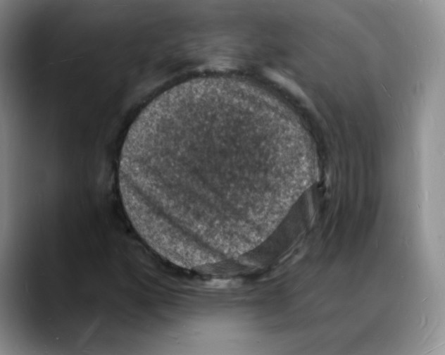 X0000088081160200706081724