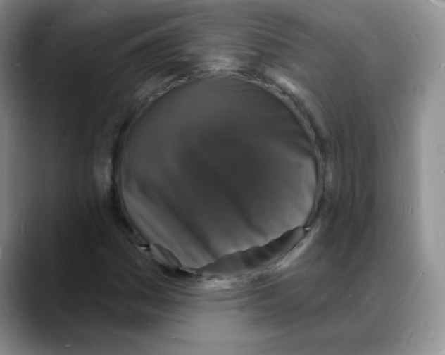 X0000088081161200706081724