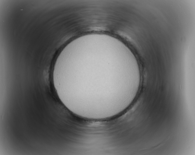 X0000088081162200706081724