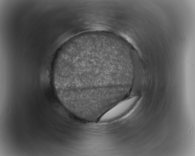 X0000088081163200706081724