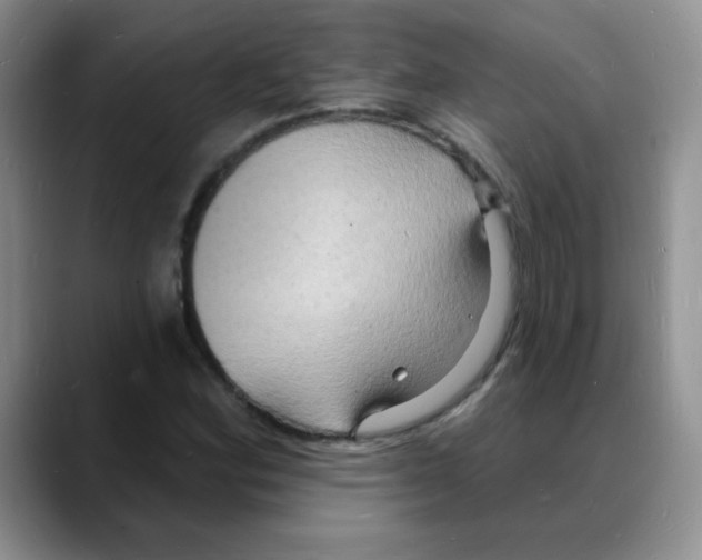 X0000088081164200706081724