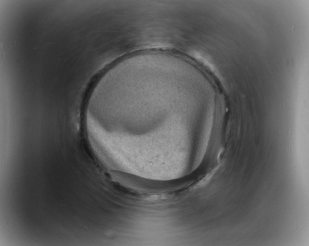 X0000088081165200706081724