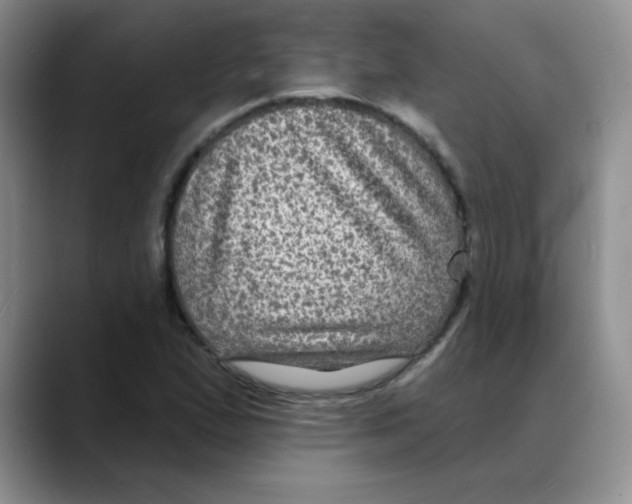 X0000088081167200706081724