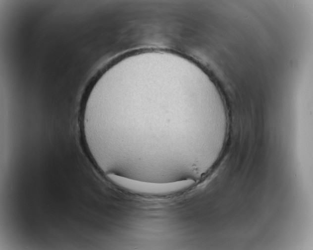 X0000088081168200706081724