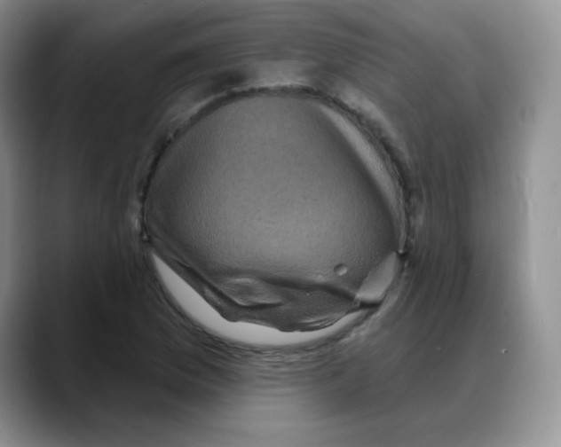 X0000088081169200706081724